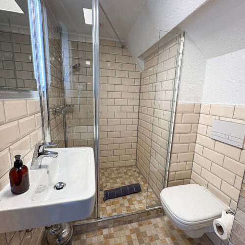Wohnung Amsel - Dachgeschoss Bad mit Dusche/WC