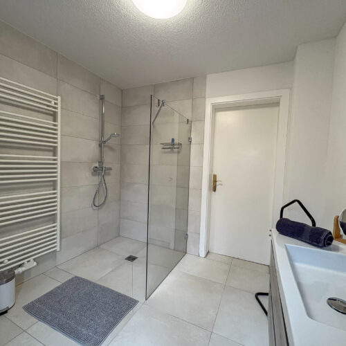 Wohnung Farn - Bad mit Dusche/WC