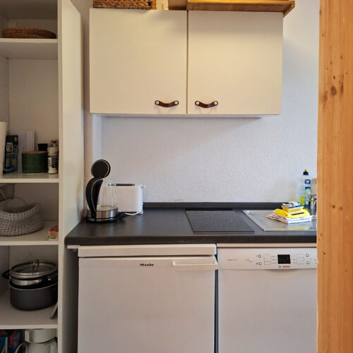 Wohnung Farn - Küchenzeile