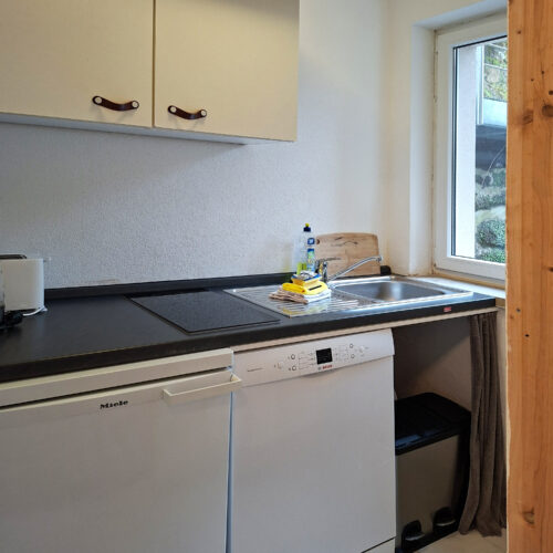 Wohnung Farn - Küchenzeile